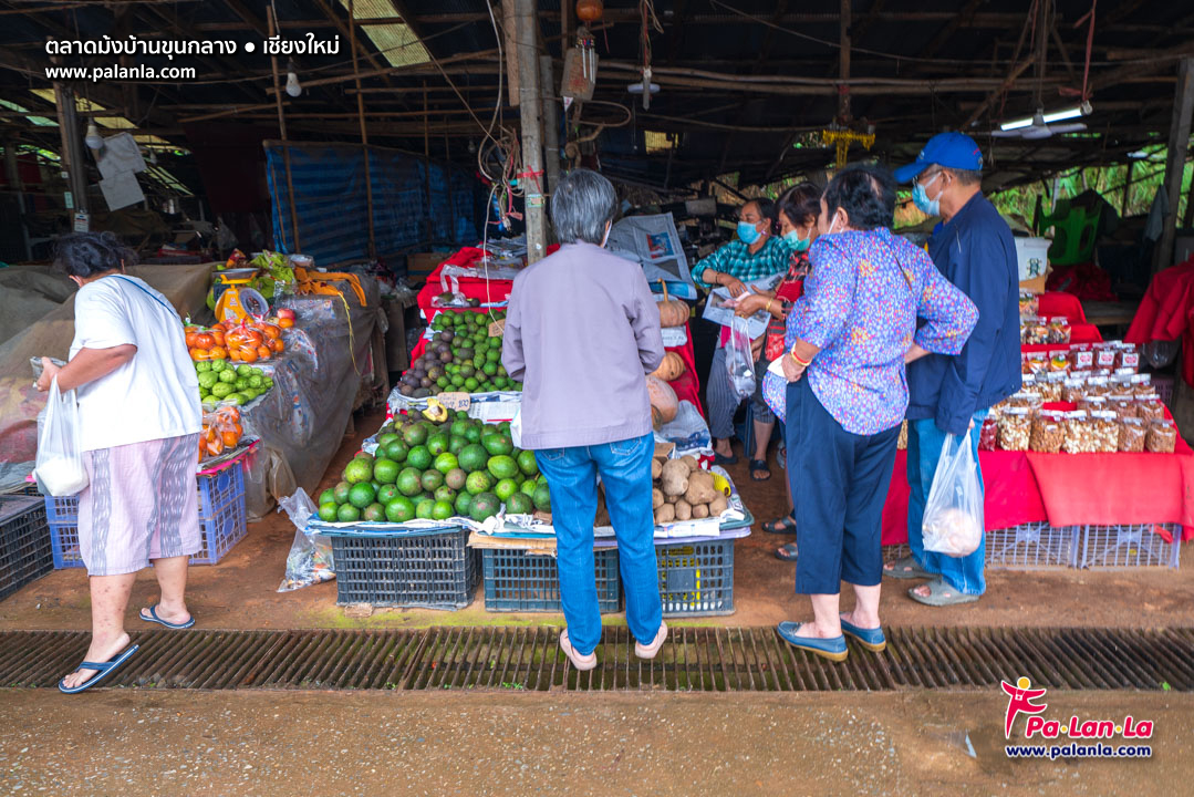 Hmong Market (Baan Khun Klang)